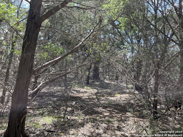 235 Flanders Property Photo 10