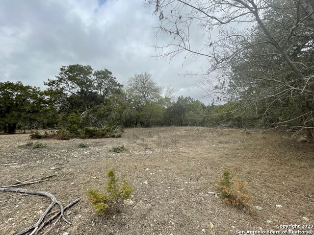 125 Pecan Dr Property Photo 4