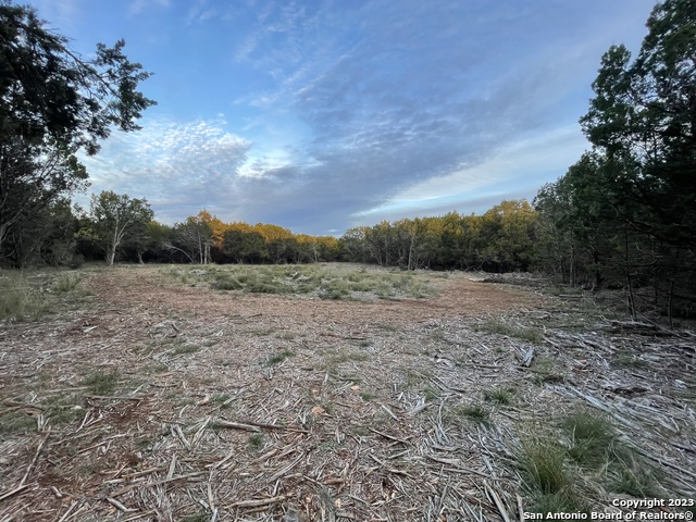 27230 Eichenbaum Rd Property Photo 21