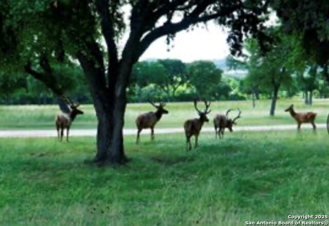 Tbd Blackbuck Trail Property Photo 8
