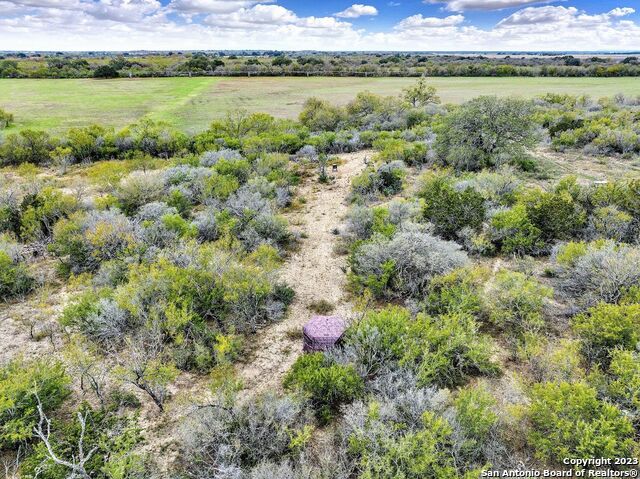 2049 County Road 451 Property Photo 5