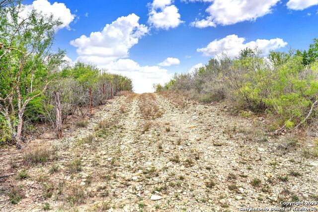 2049 County Road 451 Property Photo 18