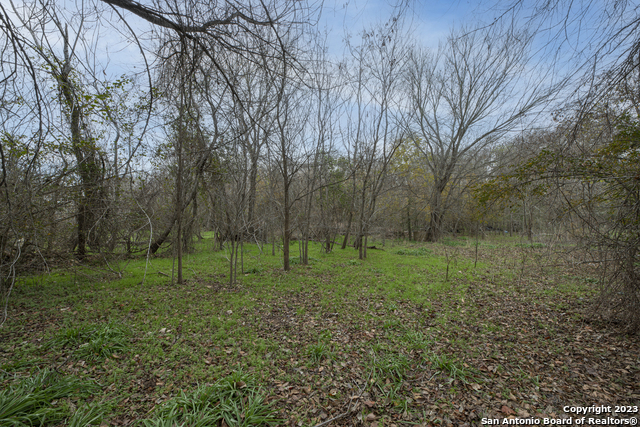 305 W Trinity St Property Photo 15