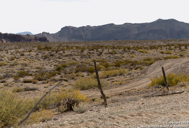 21.04 Ac Tr 227, Tr, Hwy 118 S Property Photo 28