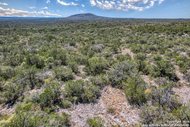1917 Ranch Road 3348 Property Photo 4