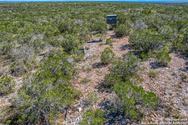 1917 Ranch Road 3348 Property Photo 6