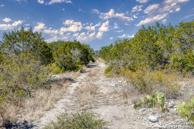 1917 Ranch Road 3348 Property Photo 25