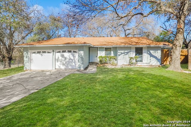 6207 Desert Sun St Property Photo 1