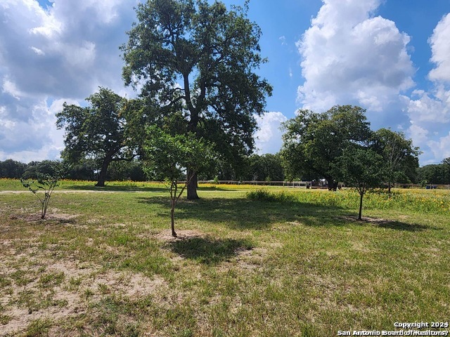 233 Triple Bend Dr Property Photo 6