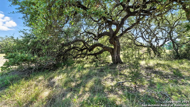 873 Annabelle Avenue (lot 22) Property Photo 6