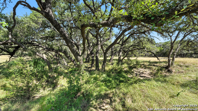 873 Annabelle Avenue (lot 22) Property Photo 7