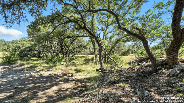 873 Annabelle Avenue (lot 22) Property Photo 8