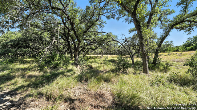 873 Annabelle Avenue (lot 22) Property Photo 9