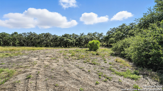 873 Annabelle Avenue (lot 22) Property Photo 12