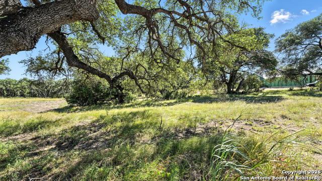 873 Annabelle Avenue (lot 22) Property Photo 14