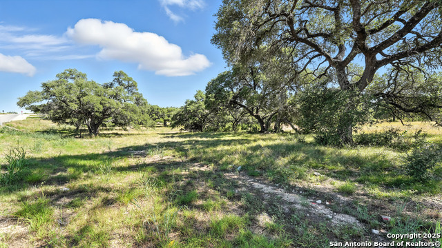 873 Annabelle Avenue (lot 22) Property Photo 16