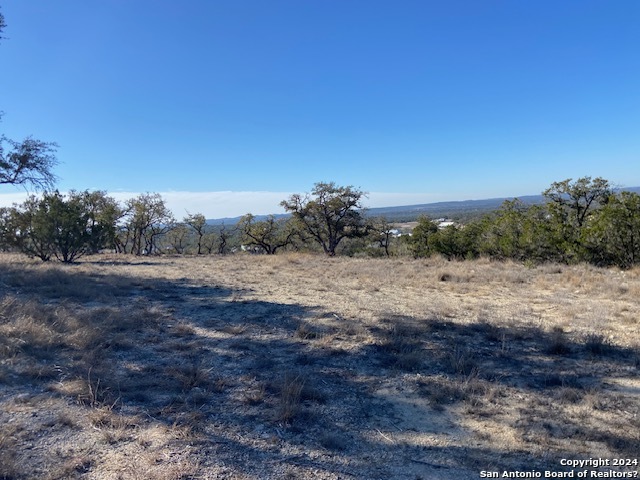34788 Ansley Ridge Trail Property Photo 1