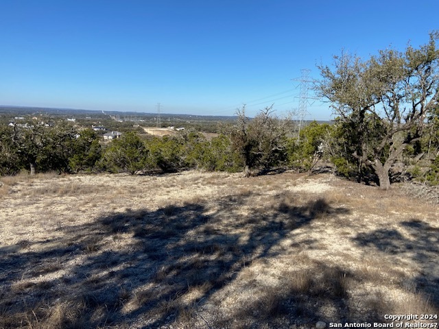 34788 Ansley Ridge Trail Property Photo 3