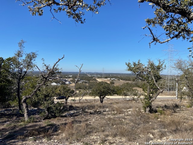 34788 Ansley Ridge Trail Property Photo 4