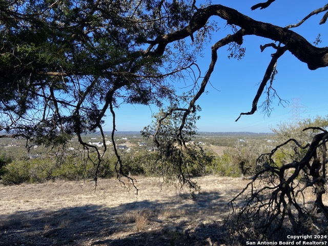 34788 Ansley Ridge Trail Property Photo 7