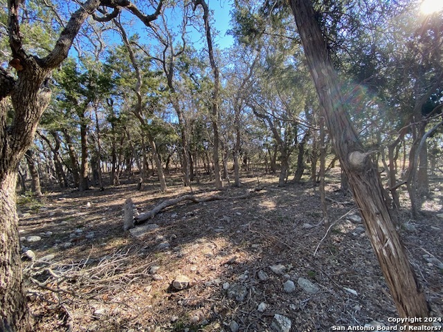 34788 Ansley Ridge Trail Property Photo 8