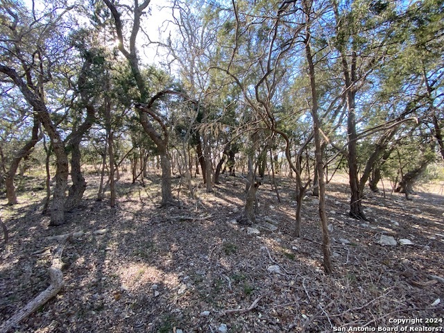 34788 Ansley Ridge Trail Property Photo 9