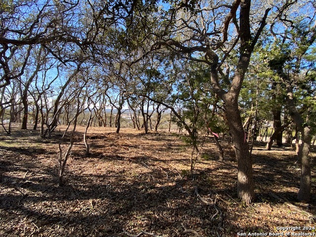 34788 Ansley Ridge Trail Property Photo 11