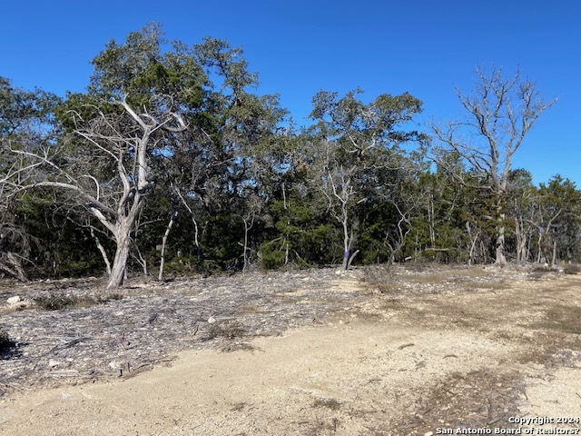 34788 Ansley Ridge Trail Property Photo 12