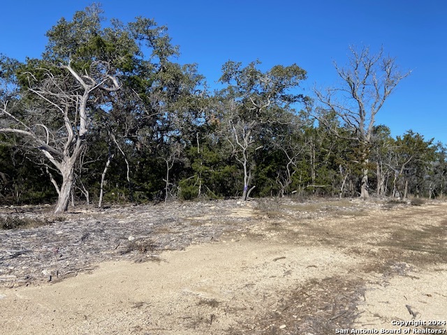 34788 Ansley Ridge Trail Property Photo 15