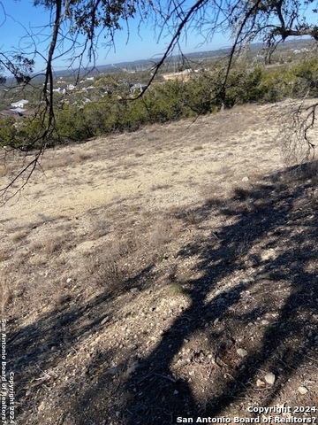 34788 Ansley Ridge Trail Property Photo 16