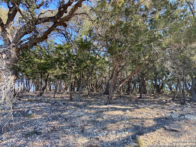 34788 Ansley Ridge Trail Property Photo 17