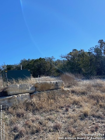 34788 Ansley Ridge Trail Property Photo 21