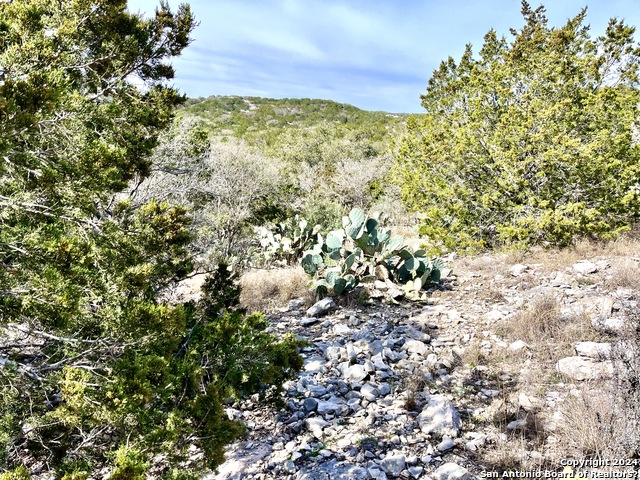0 Sd63538 Property Photo 3