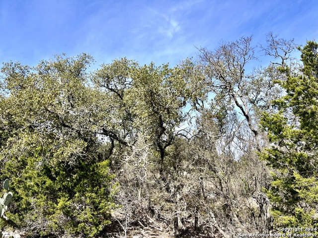 0 Sd63538 Property Photo 21
