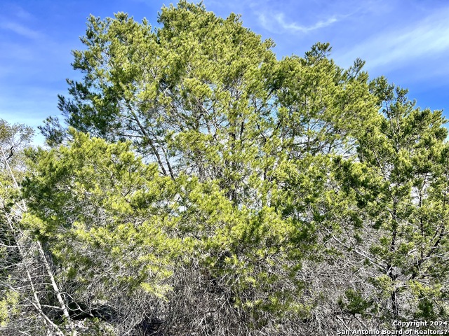 0 Sd63538 Property Photo 25