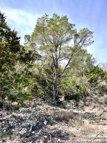 0 Sd63538 Property Photo 26