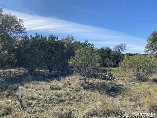 115 N John Bird Property Photo 6