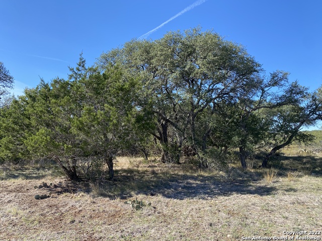 115 N John Bird Property Photo 7