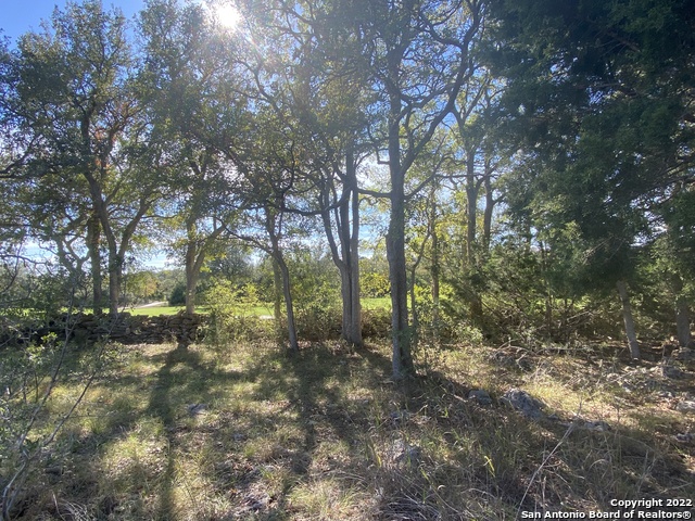 115 N John Bird Property Photo 8