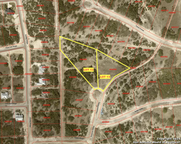 34730 Deeanne Valley Trl Property Photo 8