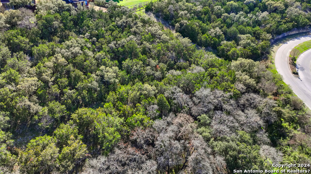 602 Winding Ravine Property Photo 9