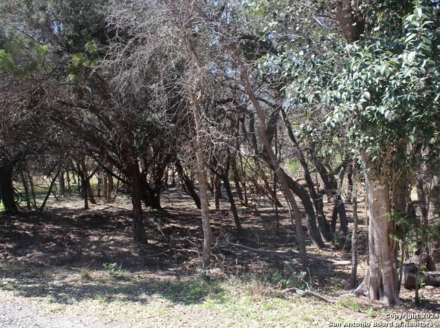 535 Ridgerock Dr Property Photo 2