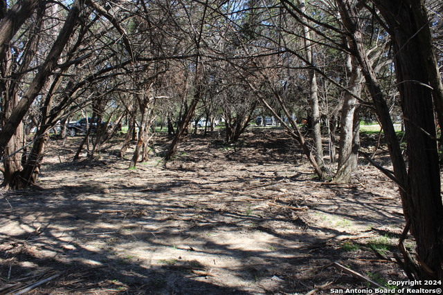 535 Ridgerock Dr Property Photo 3