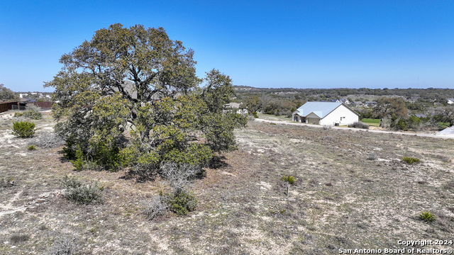 126 Lewis Todd Property Photo 17