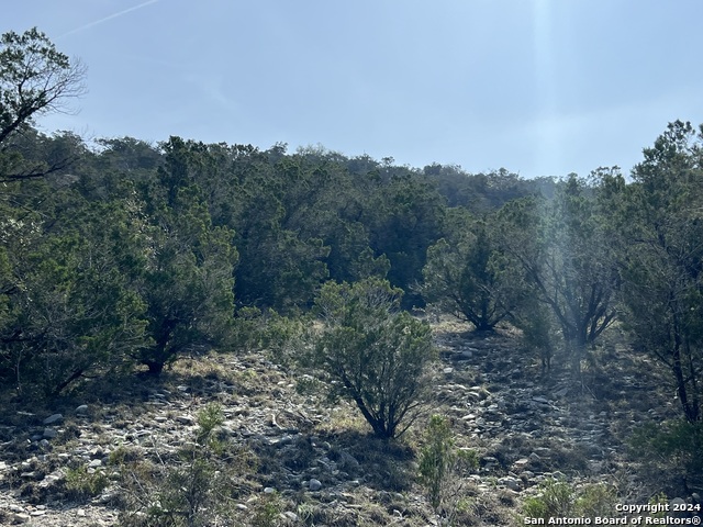 1081 Hillside Vw Property Photo 18