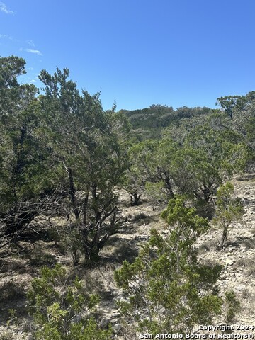 Lot 57 Lakeridge Loop Property Photo 5