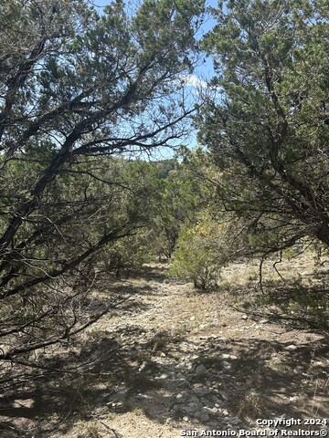 Lot 57 Lakeridge Loop Property Photo 6
