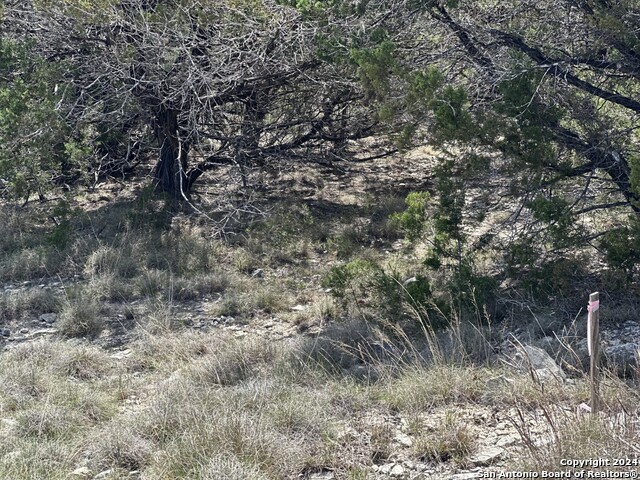 Lot 57 Lakeridge Loop Property Photo 7