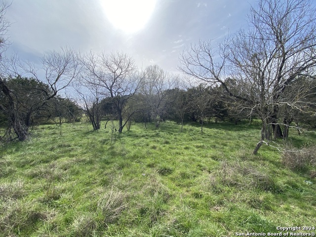 Lot 78 Lake Medina Shores Property Photo 1