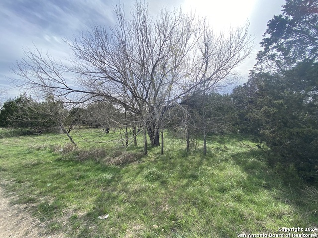 Lot 78 Lake Medina Shores Property Photo 2
